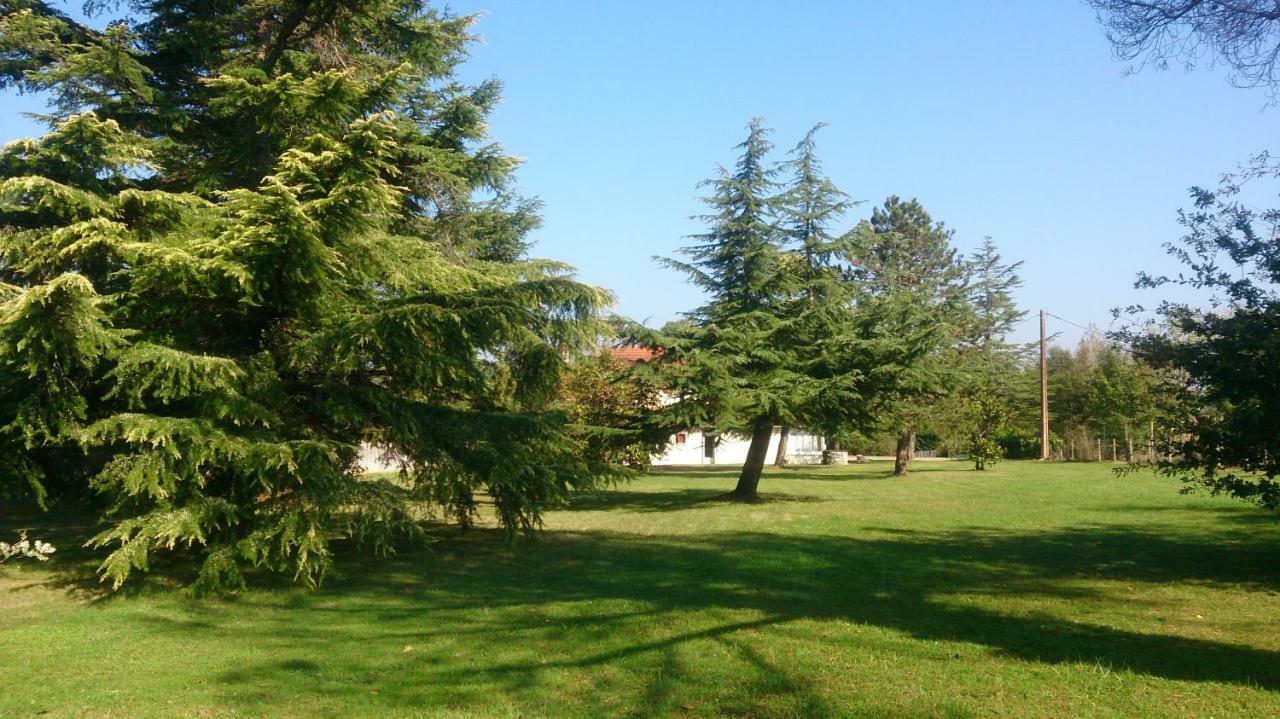 Bed and Breakfast Le Pontet Miramont-de-Guyenne Екстер'єр фото